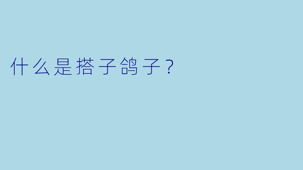 什么是搭子鸽子？