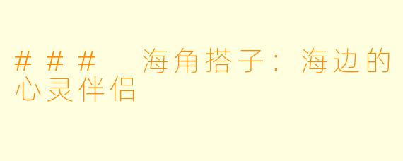 ### 海角搭子：海边的心灵伴侣