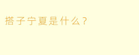 搭子宁夏是什么？