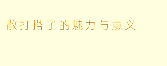 散打搭子的魅力与意义