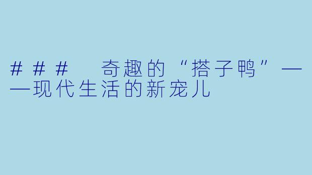 ### 奇趣的“搭子鸭”——现代生活的新宠儿