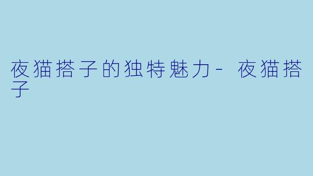 夜猫搭子的独特魅力-夜猫搭子