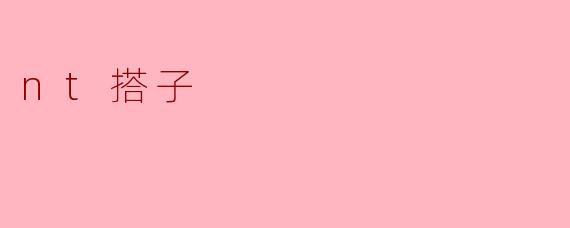 nt搭子