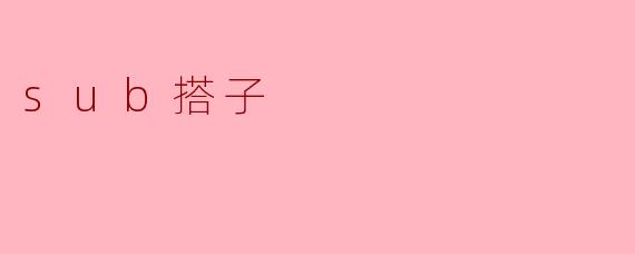 sub搭子