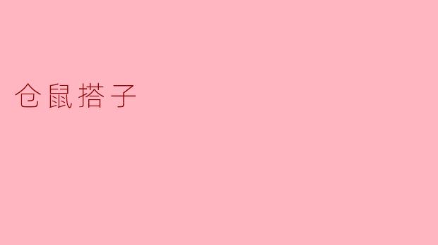 仓鼠搭子