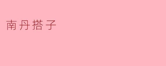南丹搭子