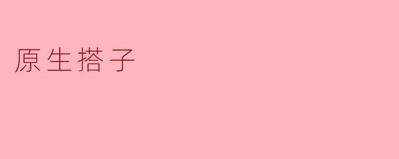 原生搭子