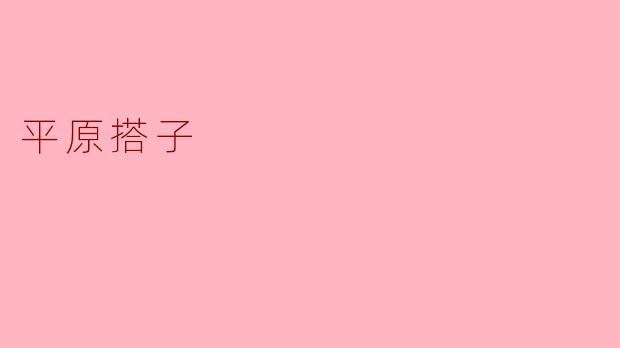 平原搭子:大地的温暖伙伴