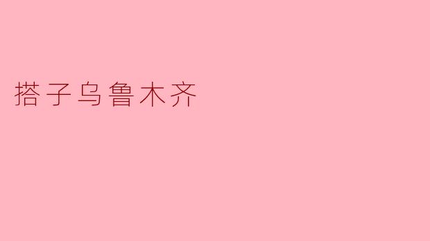 搭子乌鲁木齐是什么？