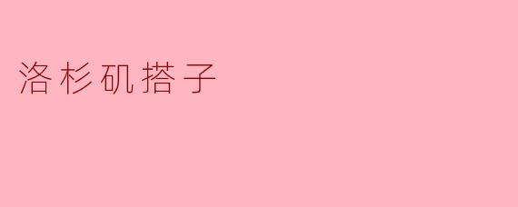 洛杉矶搭子