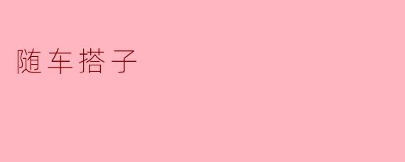 随车搭子:现代出行的新时代伴侣