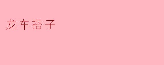 探索“龙车搭子”的独特魅力与文化意义