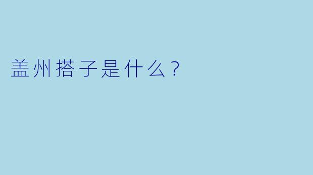 盖州搭子是什么？