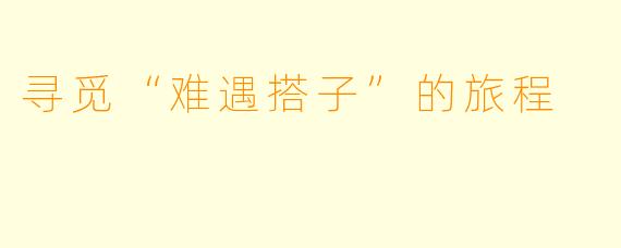 寻觅“难遇搭子”的旅程