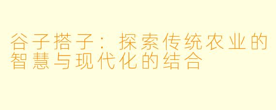 谷子搭子：探索传统农业的智慧与现代化的结合