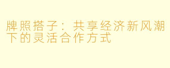 牌照搭子：共享经济新风潮下的灵活合作方式