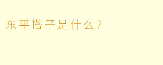 东平搭子是什么？