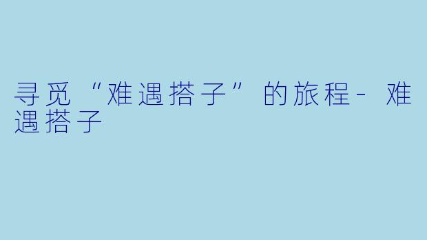 寻觅“难遇搭子”的旅程-难遇搭子