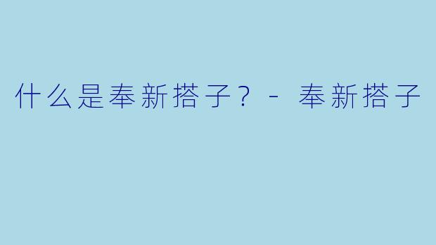 什么是奉新搭子?