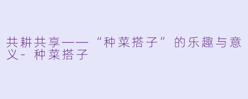 共耕共享——“种菜搭子”的乐趣与意义-种菜搭子