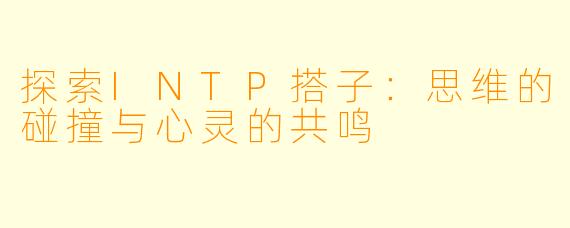 探索INTP搭子：思维的碰撞与心灵的共鸣