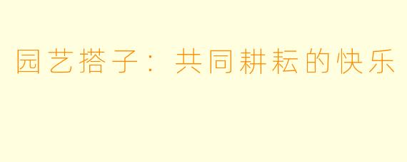 园艺搭子：共同耕耘的快乐