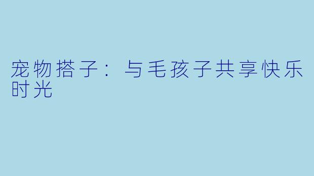 宠物搭子：与毛孩子共享快乐时光