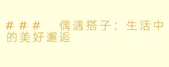 ### 偶遇搭子:生活中的美好邂逅
