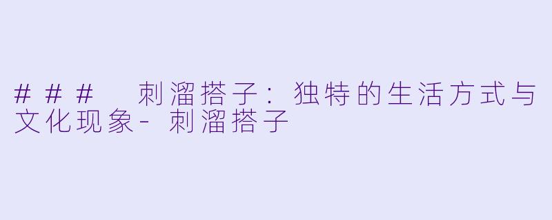 ### 刺溜搭子：独特的生活方式与文化现象-刺溜搭子