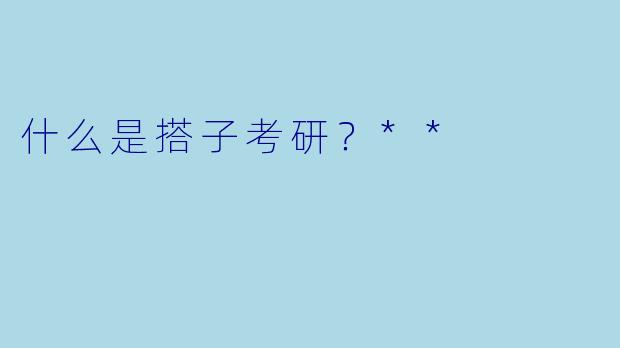 什么是搭子考研？**
