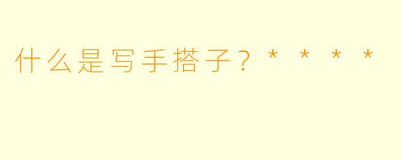 什么是写手搭子？****