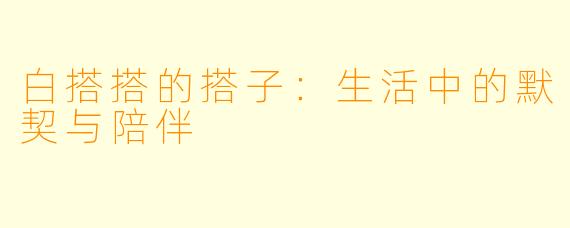 白搭搭的搭子:生活中的默契与陪伴
