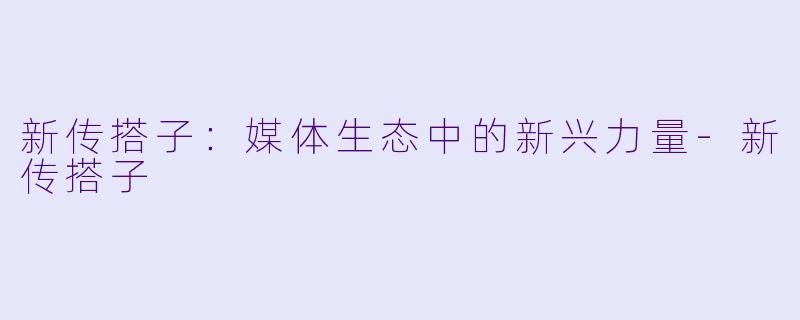 新传搭子：媒体生态中的新兴力量-新传搭子