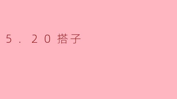 5.20搭子