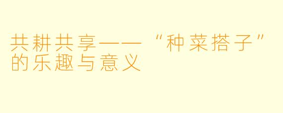 共耕共享——“种菜搭子”的乐趣与意义