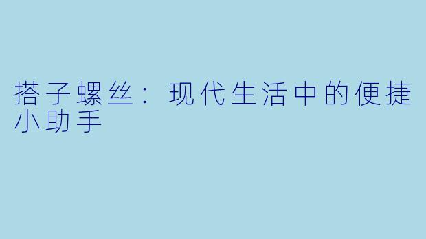 搭子螺丝:现代生活中的便捷小助手
