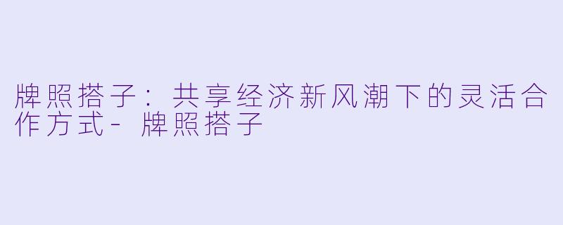 牌照搭子：共享经济新风潮下的灵活合作方式-牌照搭子
