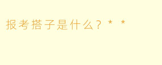 报考搭子是什么？**
