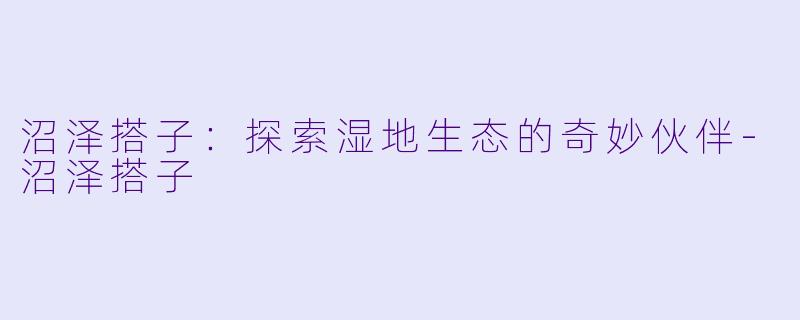 沼泽搭子：探索湿地生态的奇妙伙伴-沼泽搭子