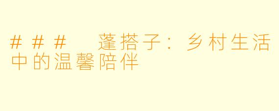 ### 蓬搭子：乡村生活中的温馨陪伴