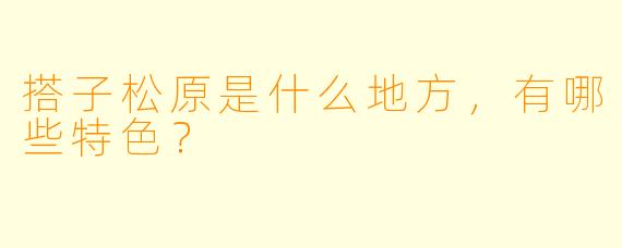 搭子松原是什么地方，有哪些特色？
