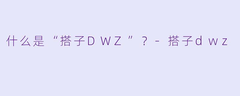 什么是“搭子DWZ”？