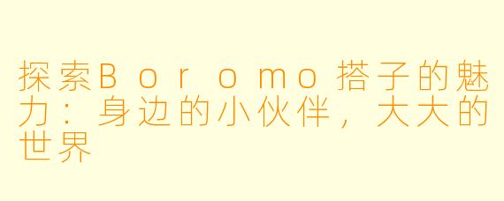 探索Boromo搭子的魅力：身边的小伙伴，大大的世界