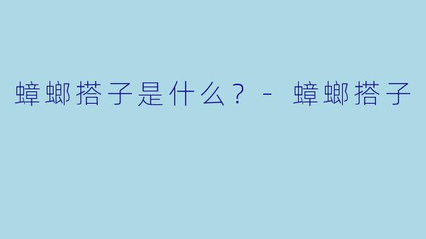 蟑螂搭子是什么？