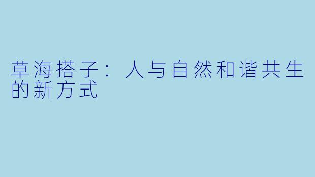 草海搭子：人与自然和谐共生的新方式
