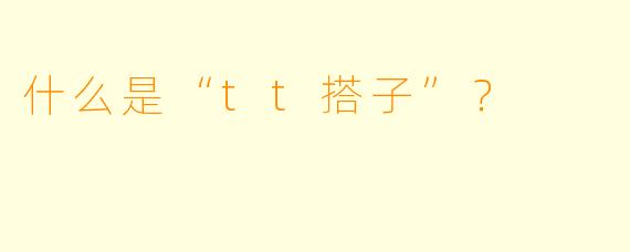 什么是“tt搭子”？