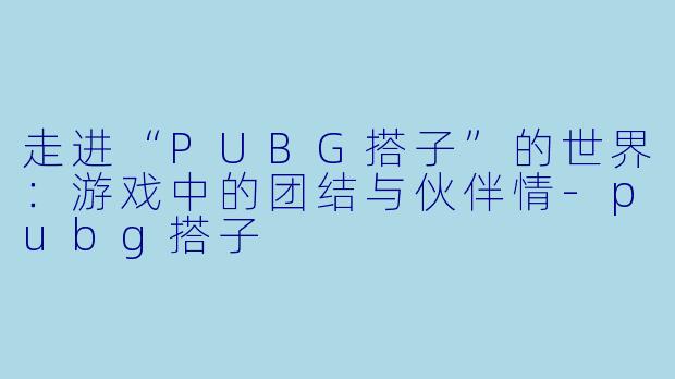 走进“PUBG搭子”的世界：游戏中的团结与伙伴情-pubg搭子