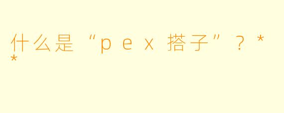 什么是“pex搭子”？**