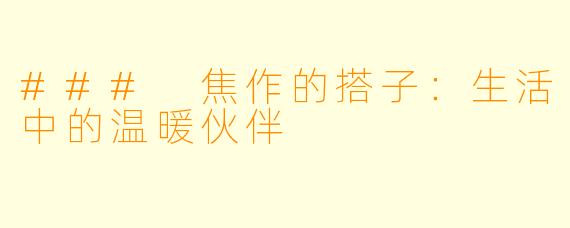 ### 焦作的搭子：生活中的温暖伙伴
