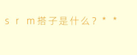 srm搭子是什么？**